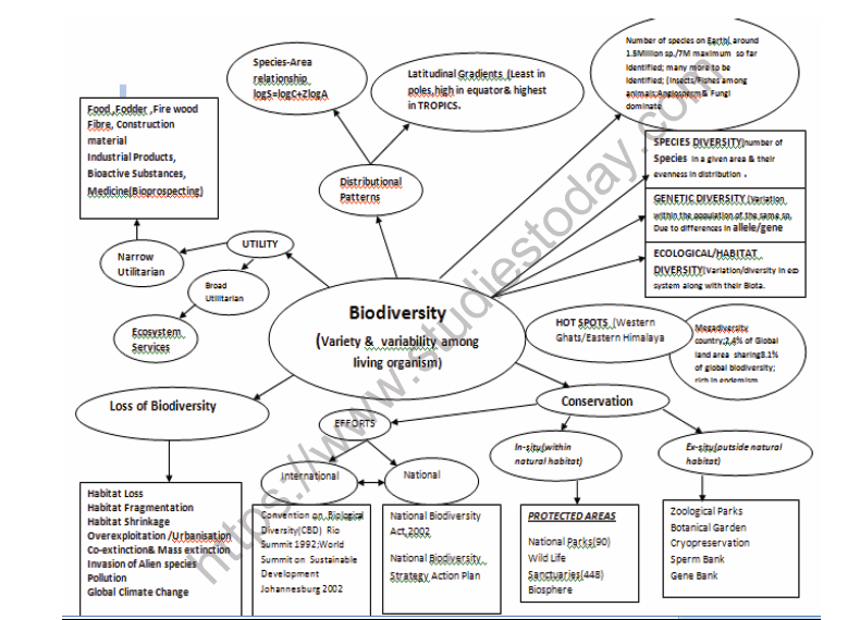 CBSE Class 12 Biology Biodiversity And Conservation Mind Map Concepts